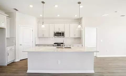 Kitchen - 10163 Hidden Hammock Loop, Parrish, FL 34219 photo 1 of 6