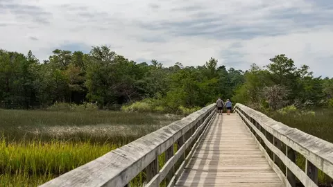 Other - 108 Pampa Dr, Loris, SC 29569 photo 5 of 18