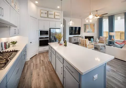 Kitchen - 325 Vale Run, Kyle, TX 78640 photo 6 of 6