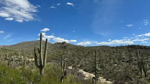 Other - 14083 E Canidae Dr, Vail, AZ 85641 photo 9 of 9