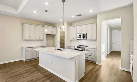 Kitchen - 10045 Hidden Hammock Loop, Parrish, FL 34219 photo 1 of 6