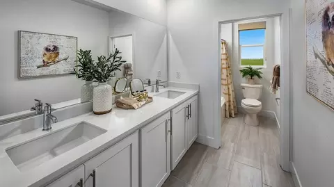Bath - 4569 Caufield Way, Lathrop, CA 95330 photo 4 of 4