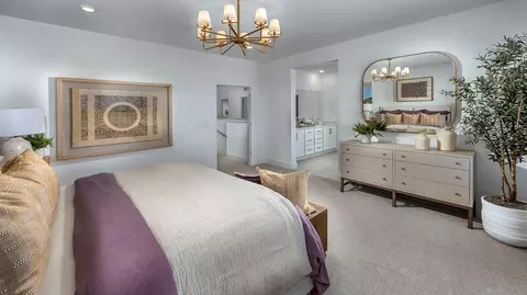 Bedroom - 4569 Caufield Way, Lathrop, CA 95330 photo 2 of 6