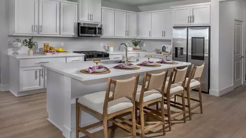 Kitchen - 4569 Caufield Way, Lathrop, CA 95330 photo 1 of 9