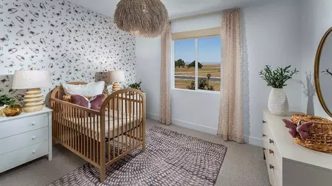 Bedroom - 4569 Caufield Way, Lathrop, CA 95330 photo 4 of 6
