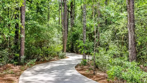 View/Area - 19403 Hickory Branch Ct, Conroe, TX 77306 photo 5 of 5