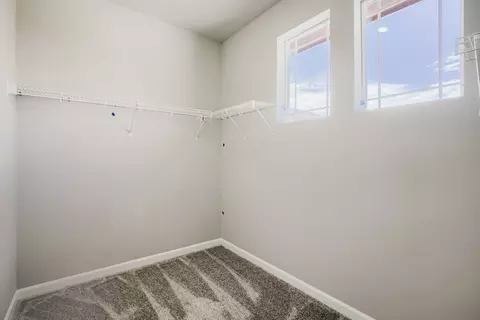 Other - 671 Noola St, Windsor, CO 80550 photo 5 of 10