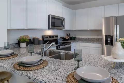 Kitchen - 2011 Town Pasture Dr, Eustis, FL 32726 photo 5 of 5