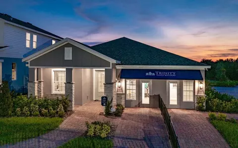 Exterior - 2011 Town Pasture Dr, Eustis, FL 32726 photo 9 of 17