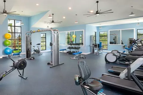 View/Area - 10620 Crescent Creek Xing, Parrish, FL 34219 photo 11 of 24