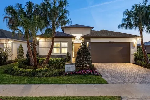 32555 Murano Ct, Wesley Chapel, FL 33543