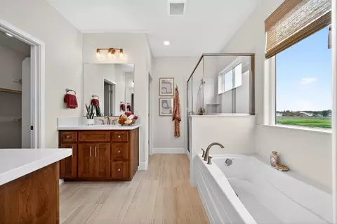 Bath - 3932 Switchgrass Rd, Placer One, CA 95747 photo 12 of 13