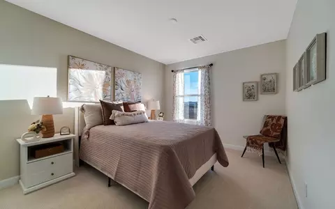Bedroom - 959 Cherrystone Loop, Buda, TX 78610 photo 4 of 15