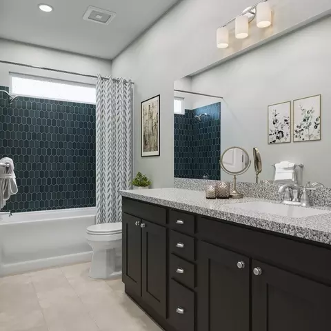Bath - 209 Simba St, Georgetown, TX 78626 photo 3 of 4