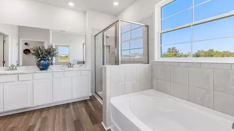 Bath - 17108 Legacy Preserve Dr, Parrish, FL 34219 photo 3 of 6