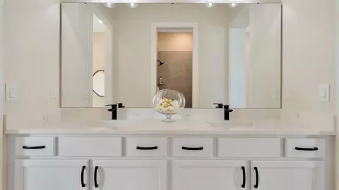 Bath - 12243 White Blossom Ct, Parrish, FL 34219 photo 6 of 12