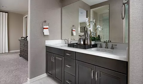 Bath - 7692 S Enchanted Spring Dr, Tucson, AZ 85757 photo 1 of 3