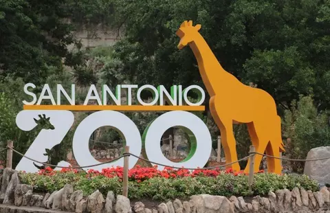 Other - 1237 Punta Mita St, Converse, TX 78109 photo 6 of 8
