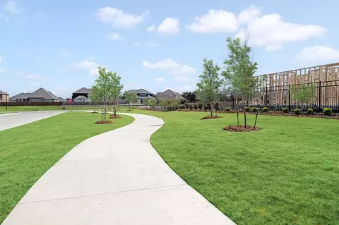 View/Area - 1706 Baldwin Dr, Cedar Hill, TX 75104 photo 10 of 11