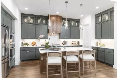Kitchen - 325 Vale Run, Kyle, TX 78640 photo 9 of 9