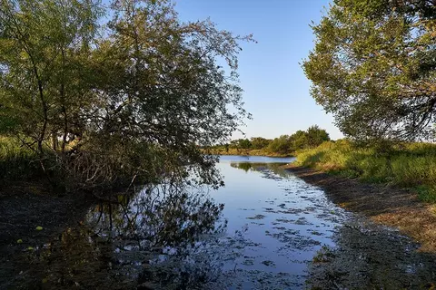 View/Area - 2101 Baxter Rd, Celina, TX 75009 photo 1 of 4