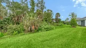 Exterior - 11661 Great Brook Ln, Parrish, FL 34219 photo 4 of 8