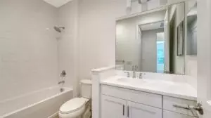 Bath - 11661 Great Brook Ln, Parrish, FL 34219 photo 2 of 4