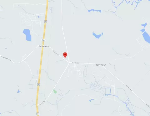 View/Area - 543 Red Monarch Way, Moncks Corner, SC 29461 photo 6 of 6
