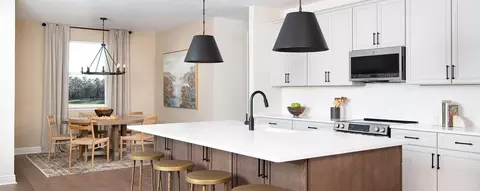 Kitchen - 30182 Rustic Mill St, Mount Dora, FL 32757 photo 4 of 4