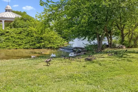 Other - 2900 Suzanne Landon Dr K2, Murfreesboro, TN 37130 photo 4 of 7
