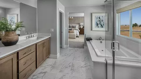 Bath - 2089 Cyclone Dr, Manteca, CA 95336 photo 1 of 3