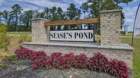 View/Area - 154 Ruby Prince Rd, Gilbert, SC 29054 photo 8 of 8