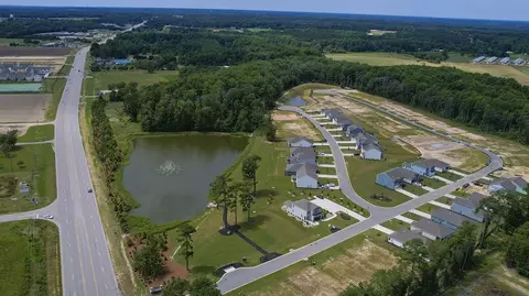 View/Area - 154 Ruby Prince Rd, Gilbert, SC 29054 photo 3 of 8