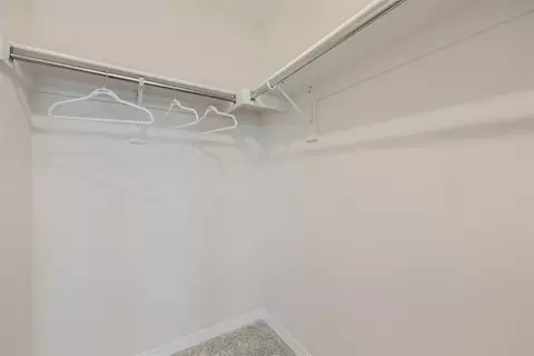 Other - 986 Rhapsody Dr, Windsor, CO 80550 photo 6 of 13