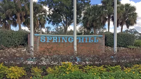 View/Area - 2245 Bolger Ave, Spring Hill, FL 34609 photo 1 of 4