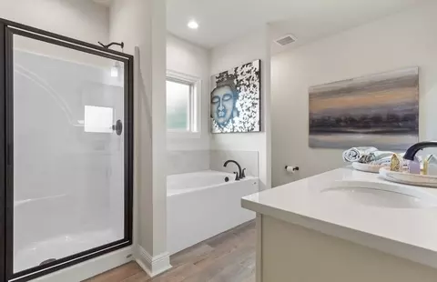 Bath - Aphrodite Court, Daphne, AL 36526 photo 3 of 3