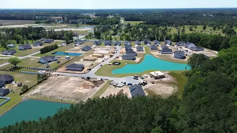 View/Area - 216 Squirrel Run Dr, Conway, SC 29527 photo 2 of 11