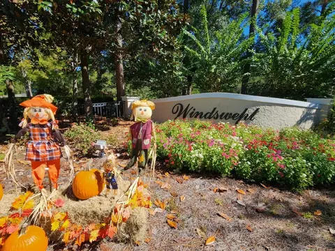 View/Area - 100 Bentgrass Rd S, Freeport, FL 32439 photo 3 of 4