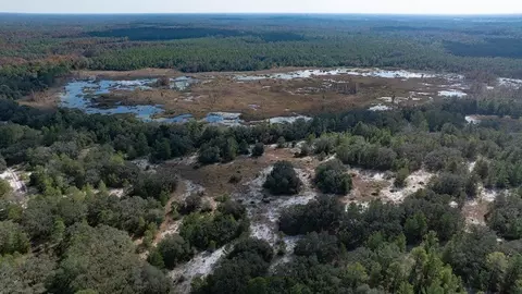 View/Area - 2835 Soleta Vw, Odessa, FL 33556 photo 6 of 7