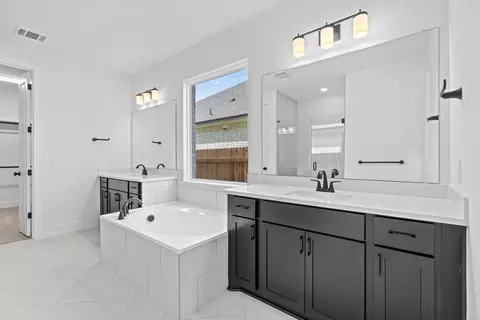 Bath - 19501 Erna Dr, Pflugerville, TX 78660 photo 1 of 4