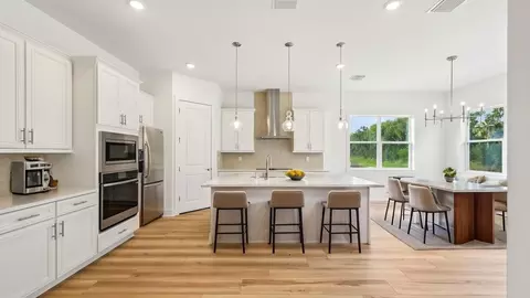 Kitchen - 12243 White Blossom Ct, Parrish, FL 34219 photo 2 of 12