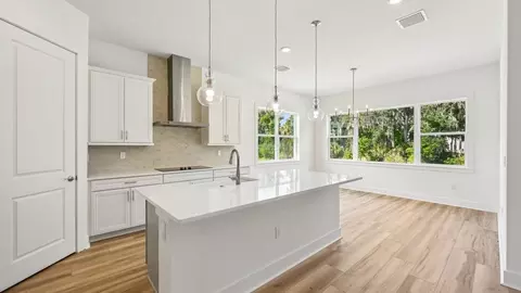 Kitchen - 12243 White Blossom Ct, Parrish, FL 34219 photo 5 of 12