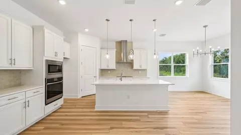 Kitchen - 12243 White Blossom Ct, Parrish, FL 34219 photo 1 of 12