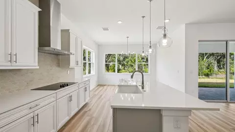 Kitchen - 12243 White Blossom Ct, Parrish, FL 34219 photo 6 of 12