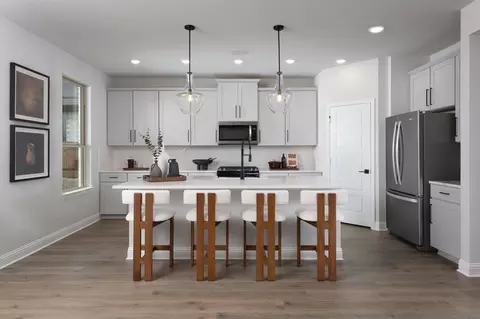Kitchen - 1908 Beeflower St, Celina, TX 75009 photo 3 of 9