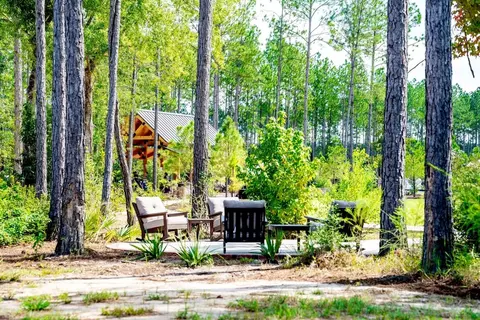 View/Area - 6010 Overcup Dr, Lumberton, TX 77657 photo 5 of 9