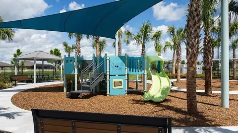 View/Area - 11934 Violet Moonstone Dr, Parrish, FL 34219 photo 8 of 10