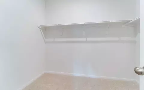Other - 10515 Killdeer Ct, Willis, TX 77378 photo 9 of 12