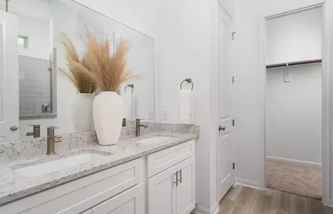 Bath - 203 Ruby Ford Dr, Cove, TX 77523 photo 1 of 2