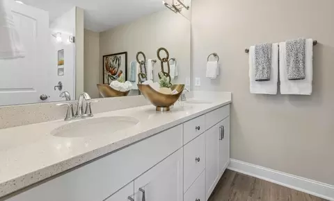 Bath - 512 Traditions Grande Blvd, Wake Forest, NC 27587 photo 10 of 12